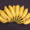 Goldfinger Dwarf Banana Plant - Live Plant - FHIA-01 Goldfinger Desert Banana - Image 10