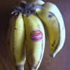 Manzano "Apple" Banana Plant Live Plant - Image 3