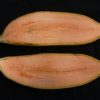 Dwarf Iholena PINK FLESH Banana Tree - Live Banana Plant - Cooking or Dessert - Image 10
