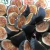 Black Mission Fig